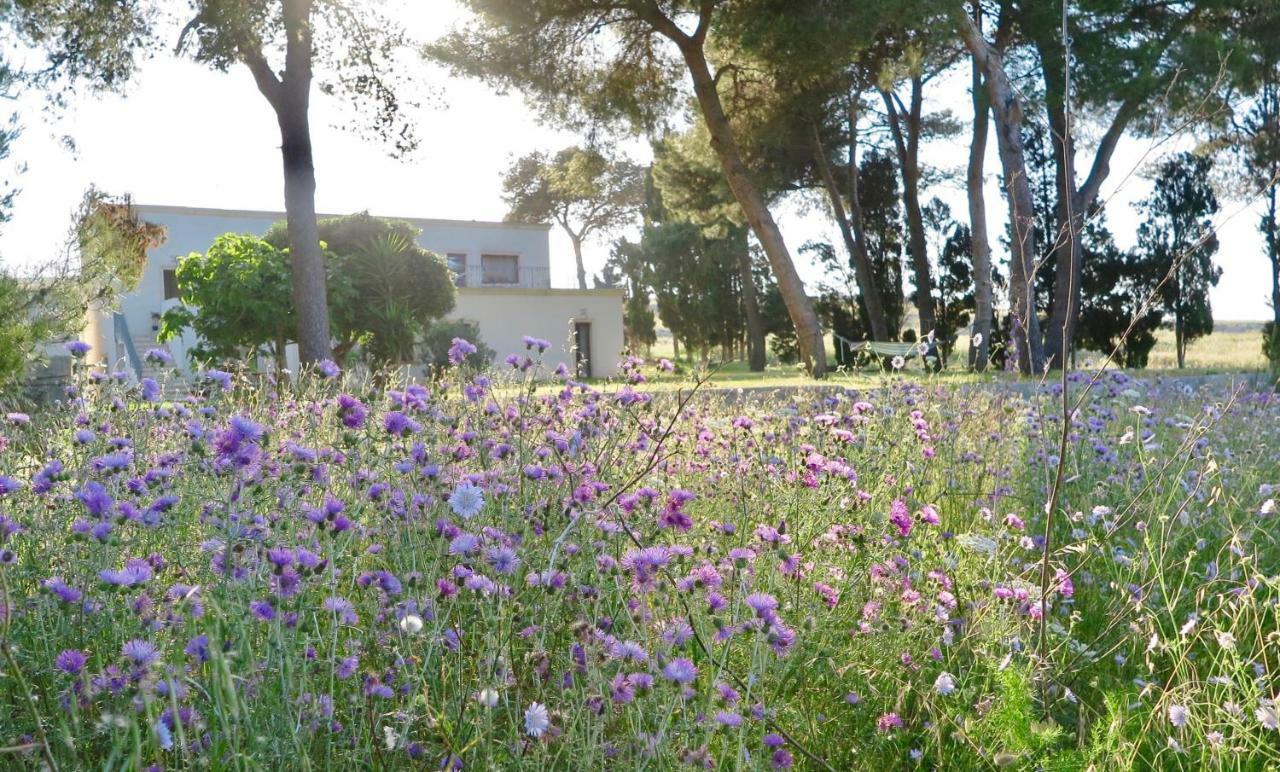 La Dimora Di Ulisse Aparthotel Santa Cesarea Terme Exterior foto